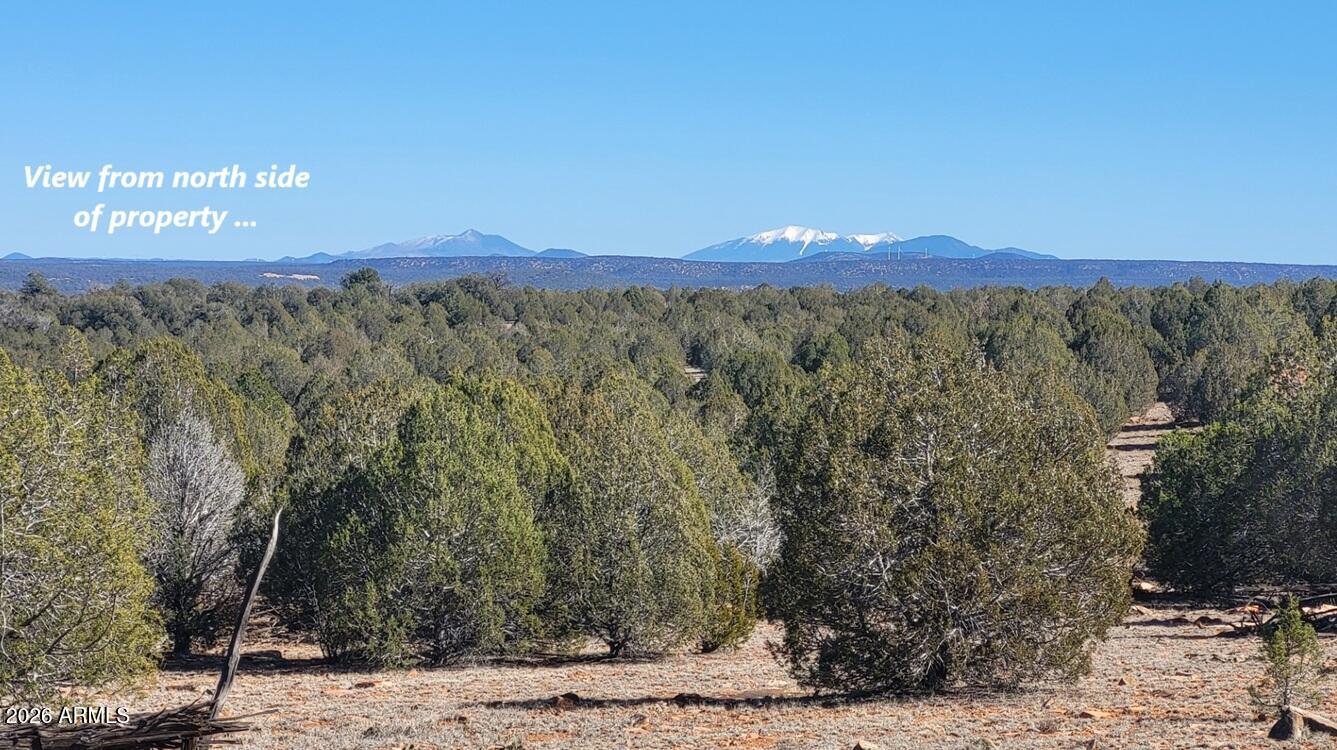 861 E2 Cable Road 861, Williams, AZ 86046 — Photo 1 of 11