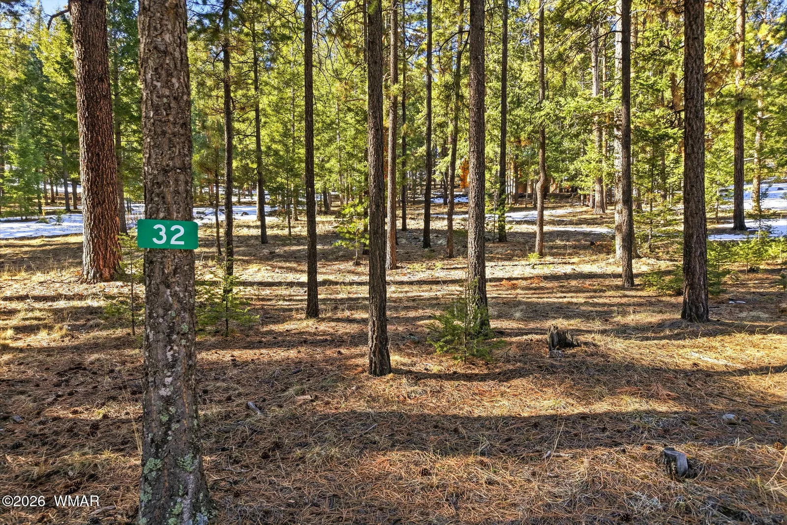 32 N1068, Greer, AZ 85927 — Photo 1 of 18
