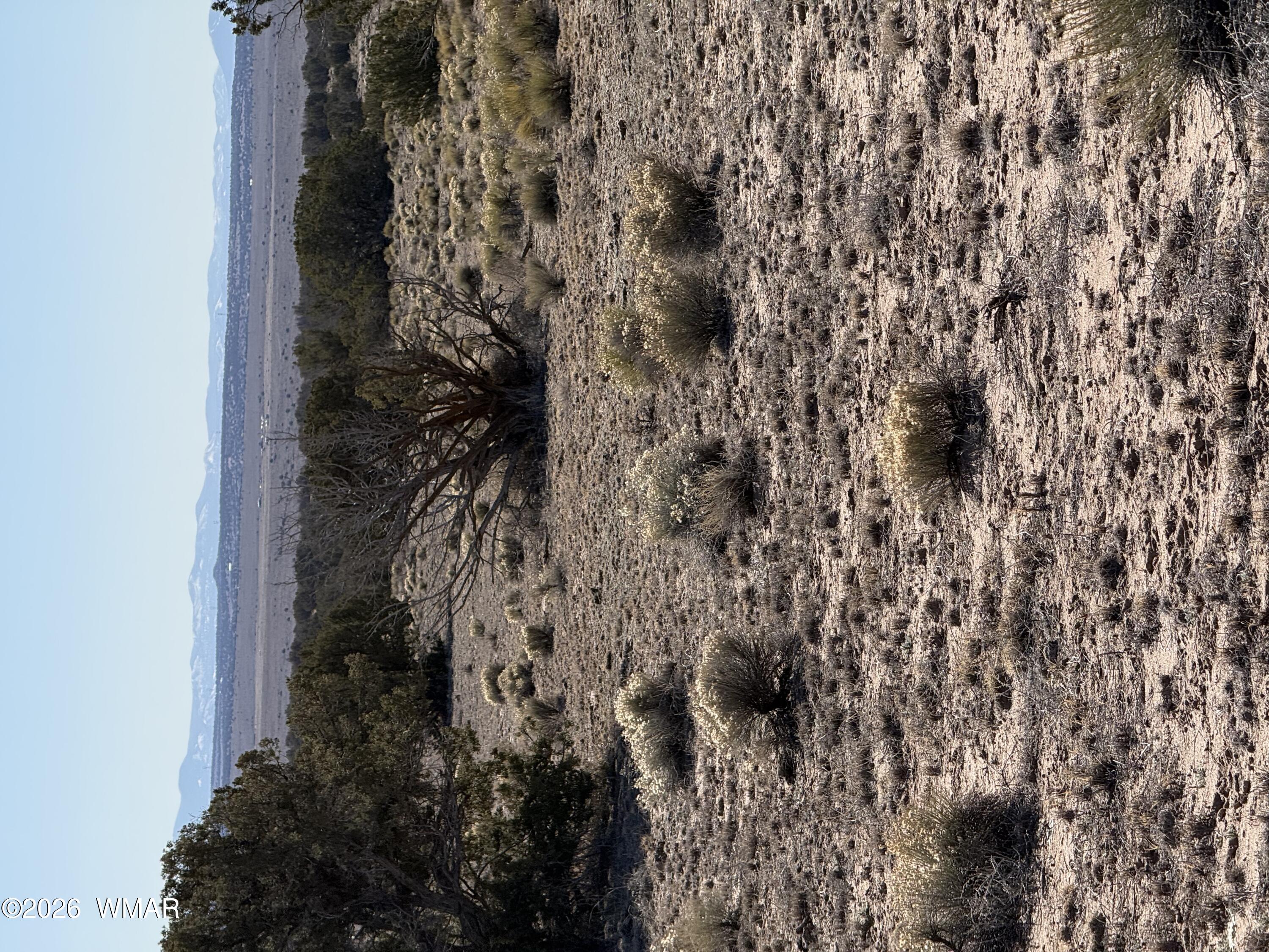 TBD N6549, St. Johns, AZ 85936