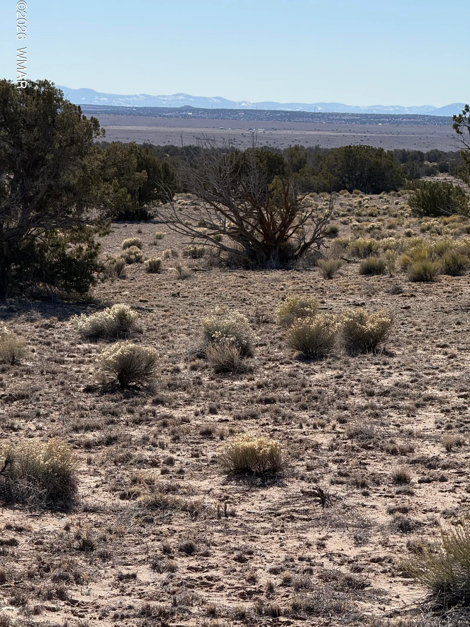 TBD N6549, St. Johns, AZ 85936 — Photo 1 of 1