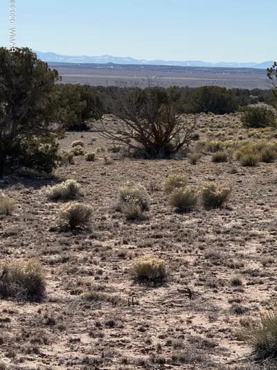TBD N6549, St. Johns, AZ 85936