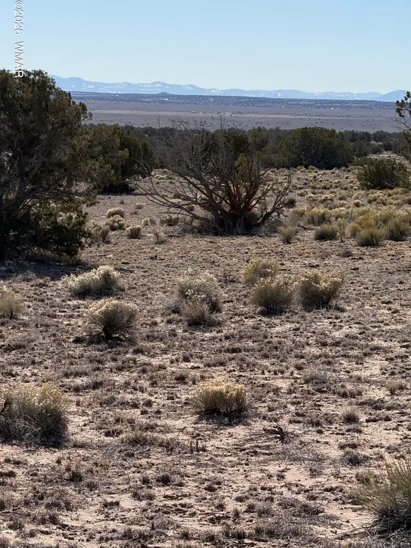TBD N6549, St. Johns, AZ 85936
