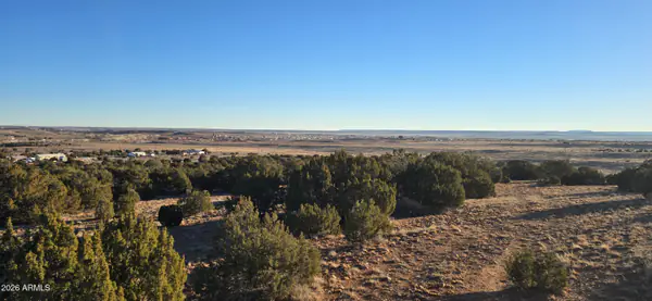 0 Arena Estates -, Taylor, AZ 85939