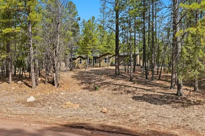 2381 Blue Ridge Drive, Happy Jack, AZ 86024