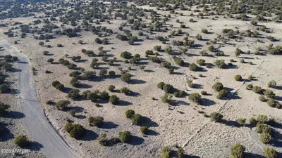 38 8626, Concho, AZ 85924