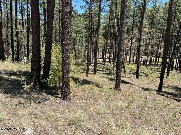 TBD N2122, Alpine, AZ 85920