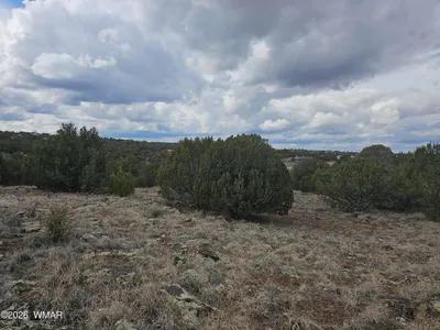 1903 Ponce Place, Show Low, AZ 85901