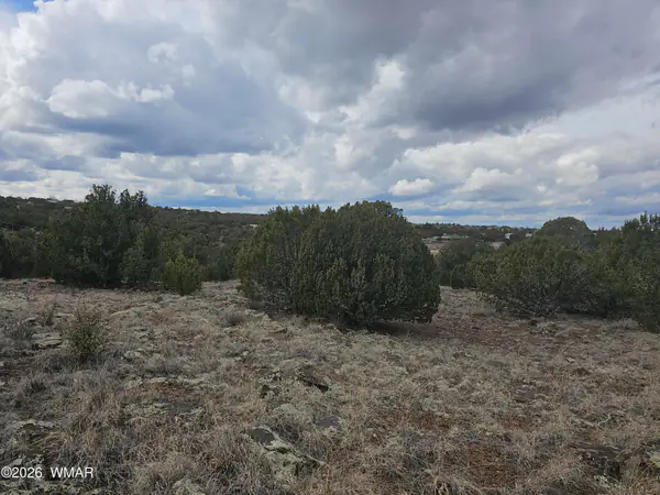 1903 Ponce Place, Show Low, AZ 85901