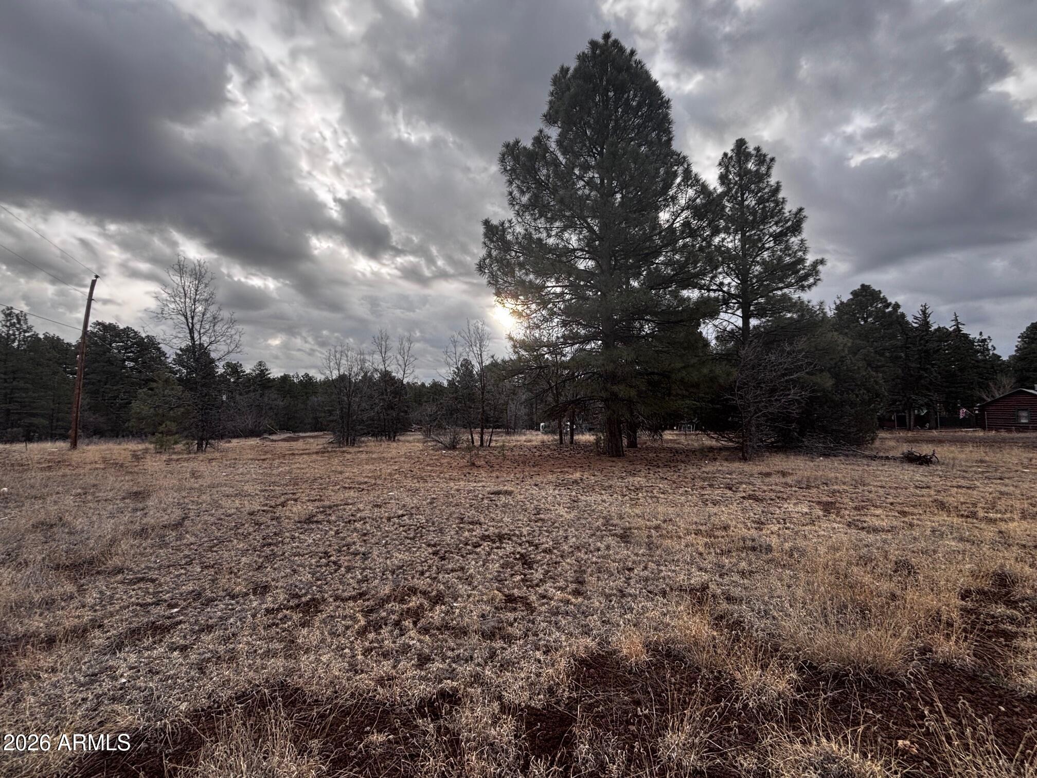 21230027B W White Mountain Blvd 67B, Lakeside, AZ 85929 — Photo 1 of 15