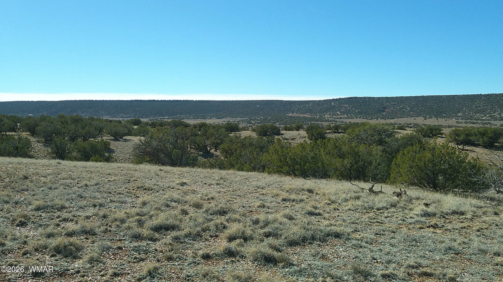 4523 Stirrup Road, Snowflake, AZ 85937 — Photo 1 of 34