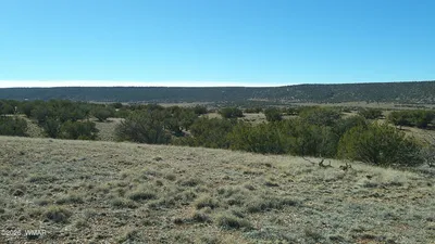 4523 Stirrup Road, Snowflake, AZ 85937