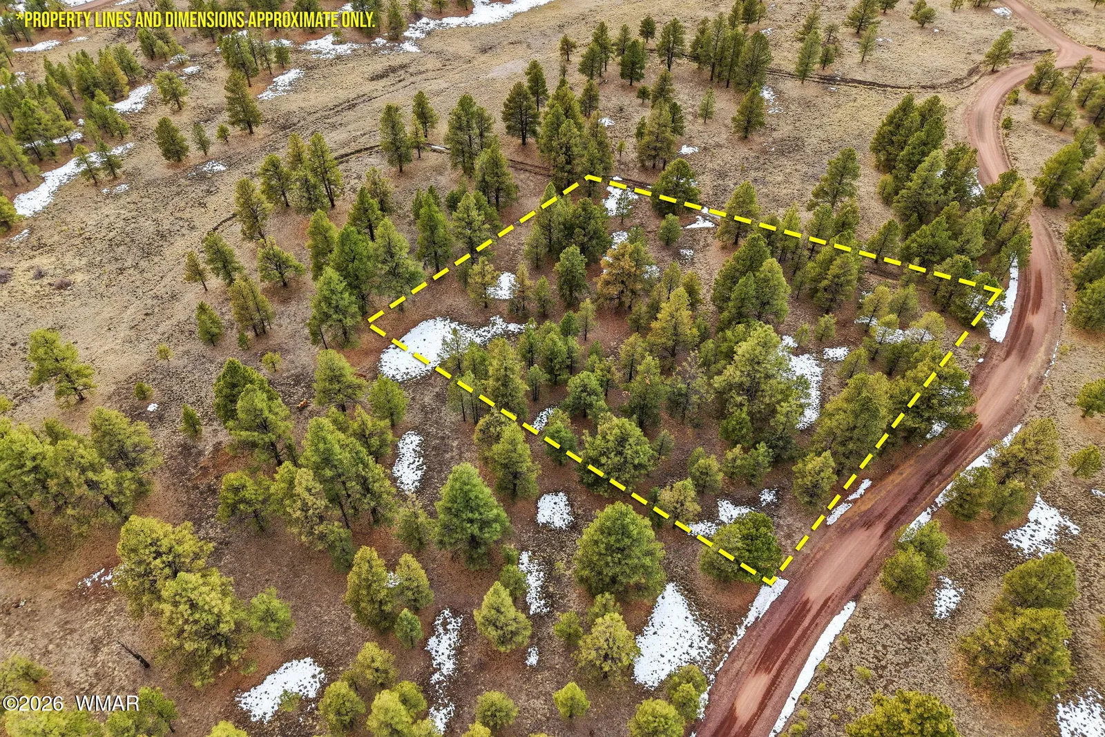 20 County Road N1332, Greer, AZ 85927 — Photo 1 of 20