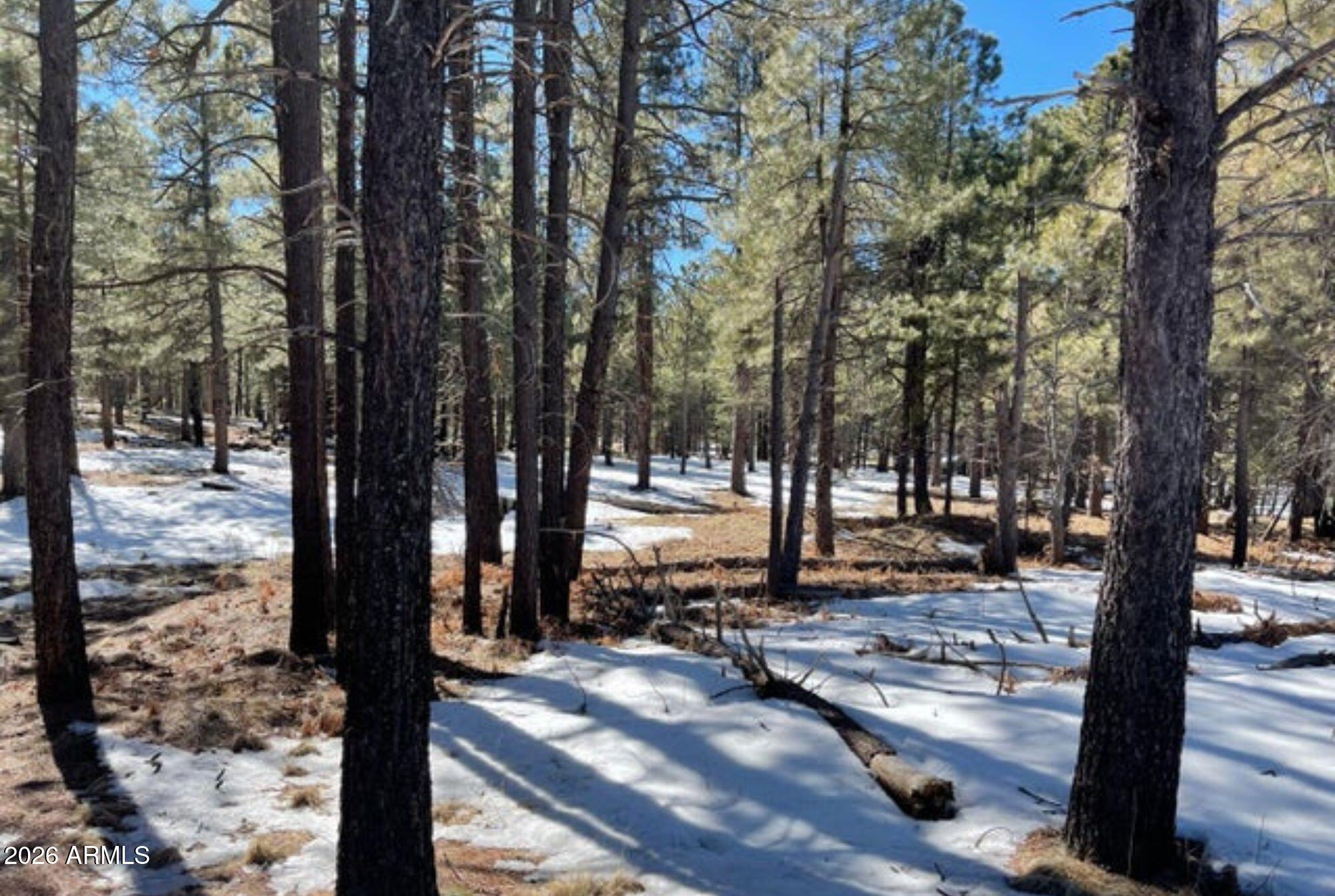 2692 STATE ROUTE 260 Route 895, Forest Lakes, AZ 85931 — Photo 1 of 3