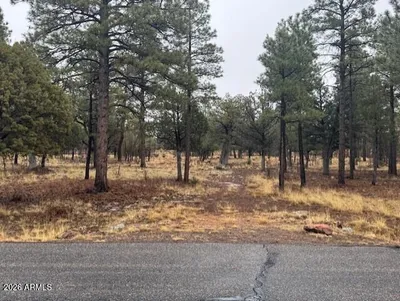 2625 Roundup Lane, Happy Jack, AZ 86024
