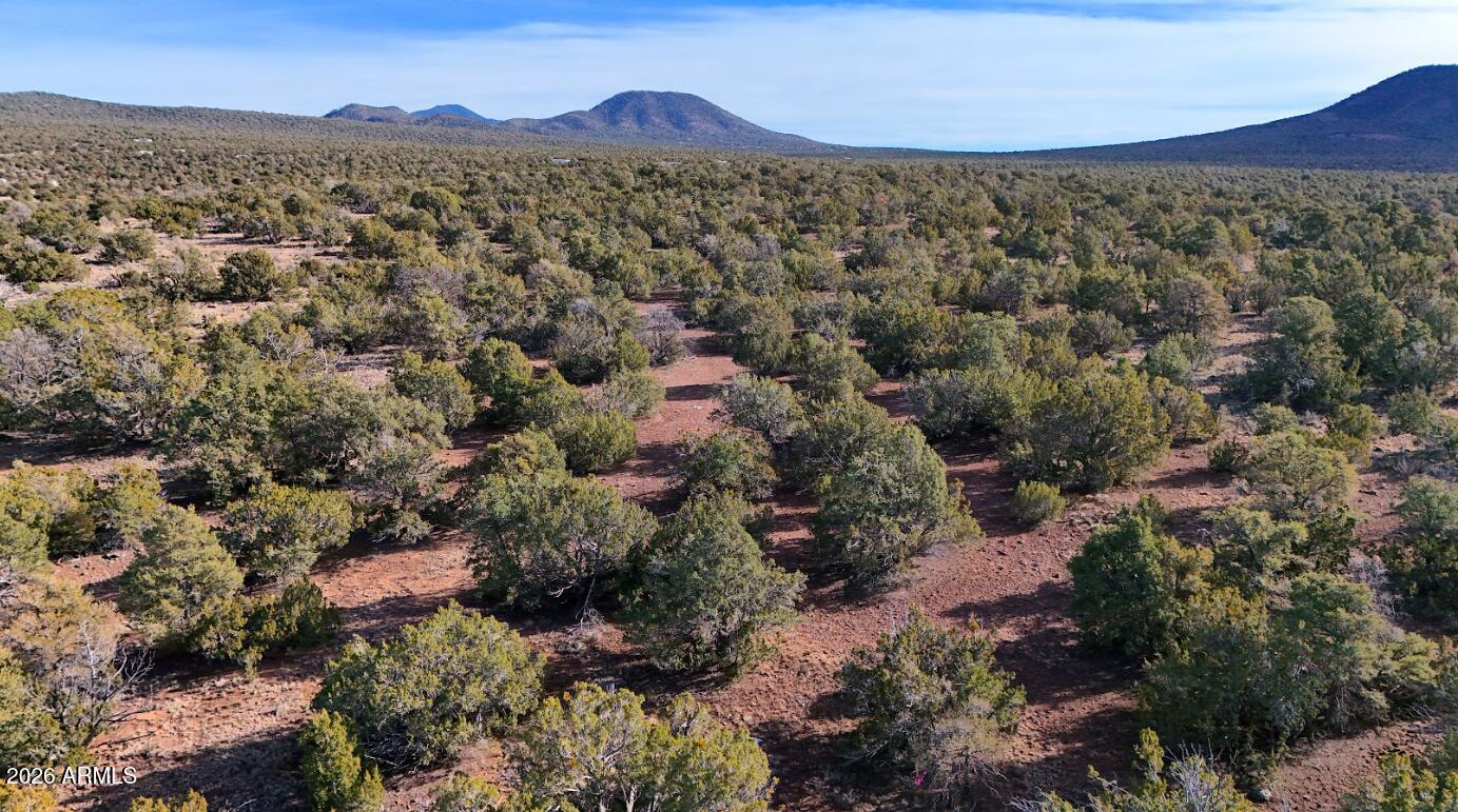731 E SNOWDRIFT Road 248, Williams, AZ 86046 — Photo 1 of 9