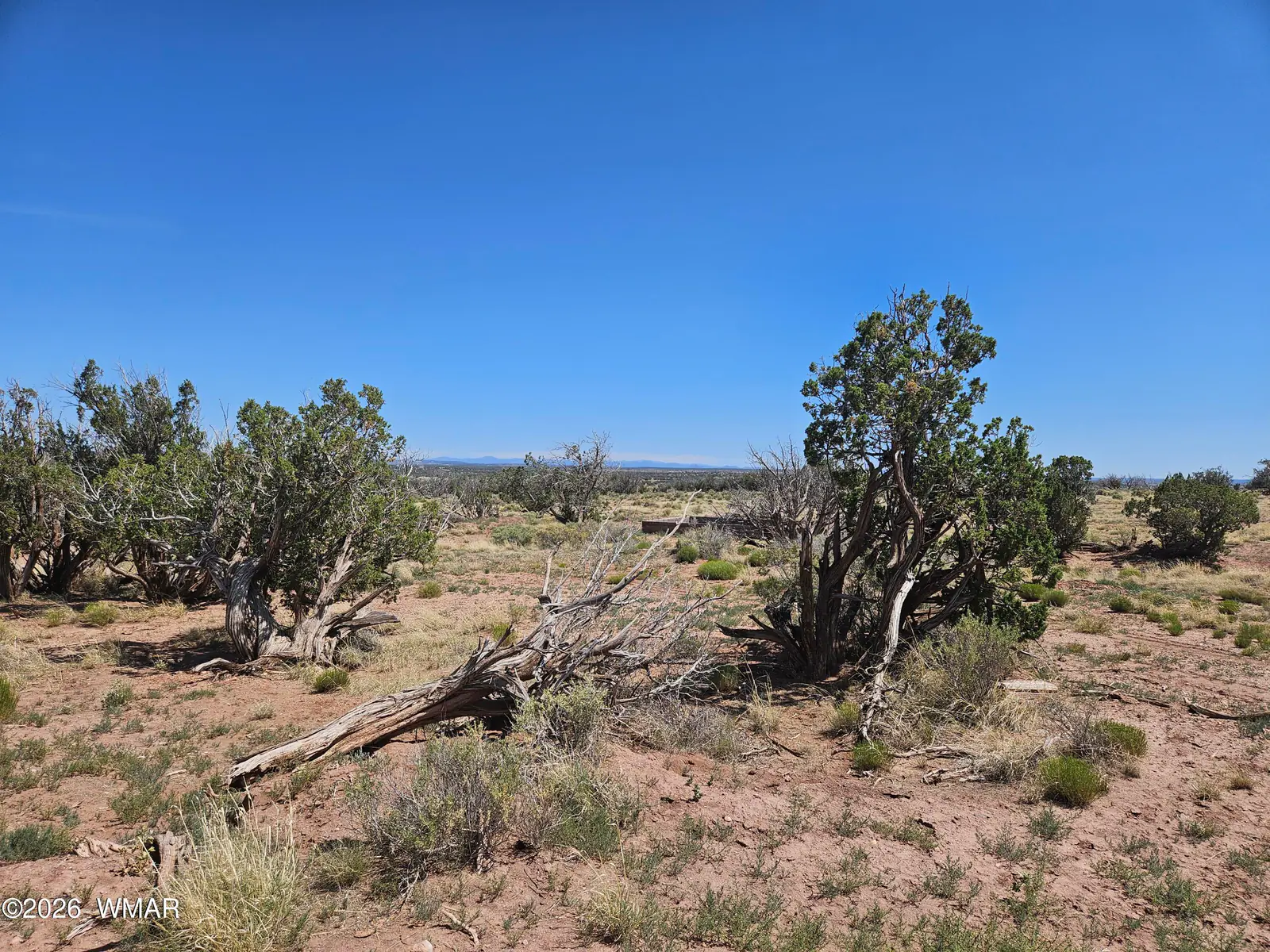 8290 El Rancho Trail, Snowflake, AZ 85937, Photo 1 of 15