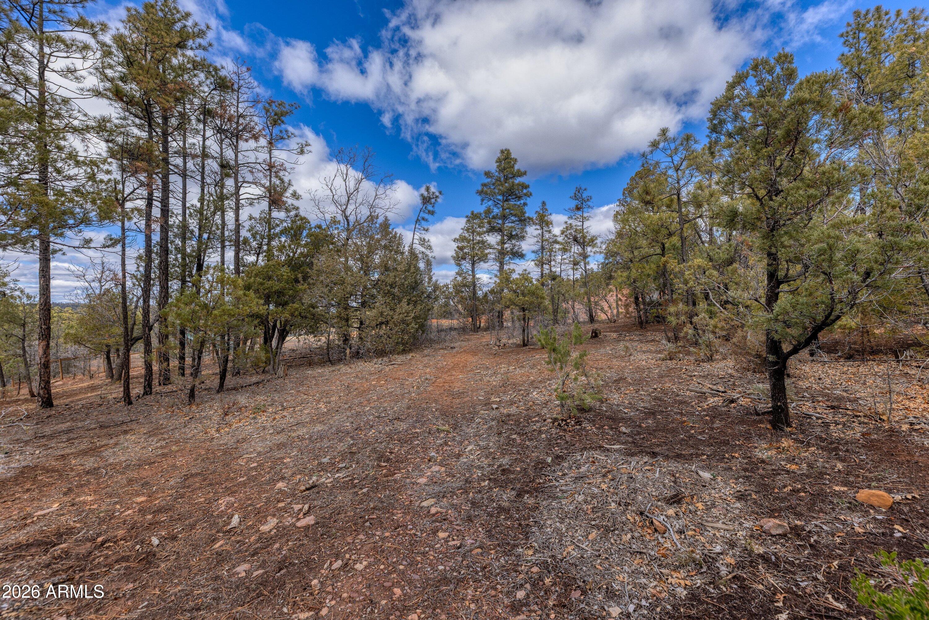 4701 S PINE Way 9, Show Low, AZ 85901 — Photo 1 of 10