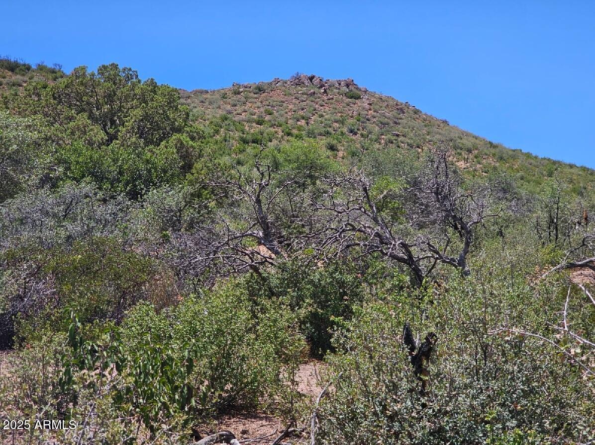 4XX S El Capitan Drive -, Globe, AZ 85501 — Photo 1 of 16