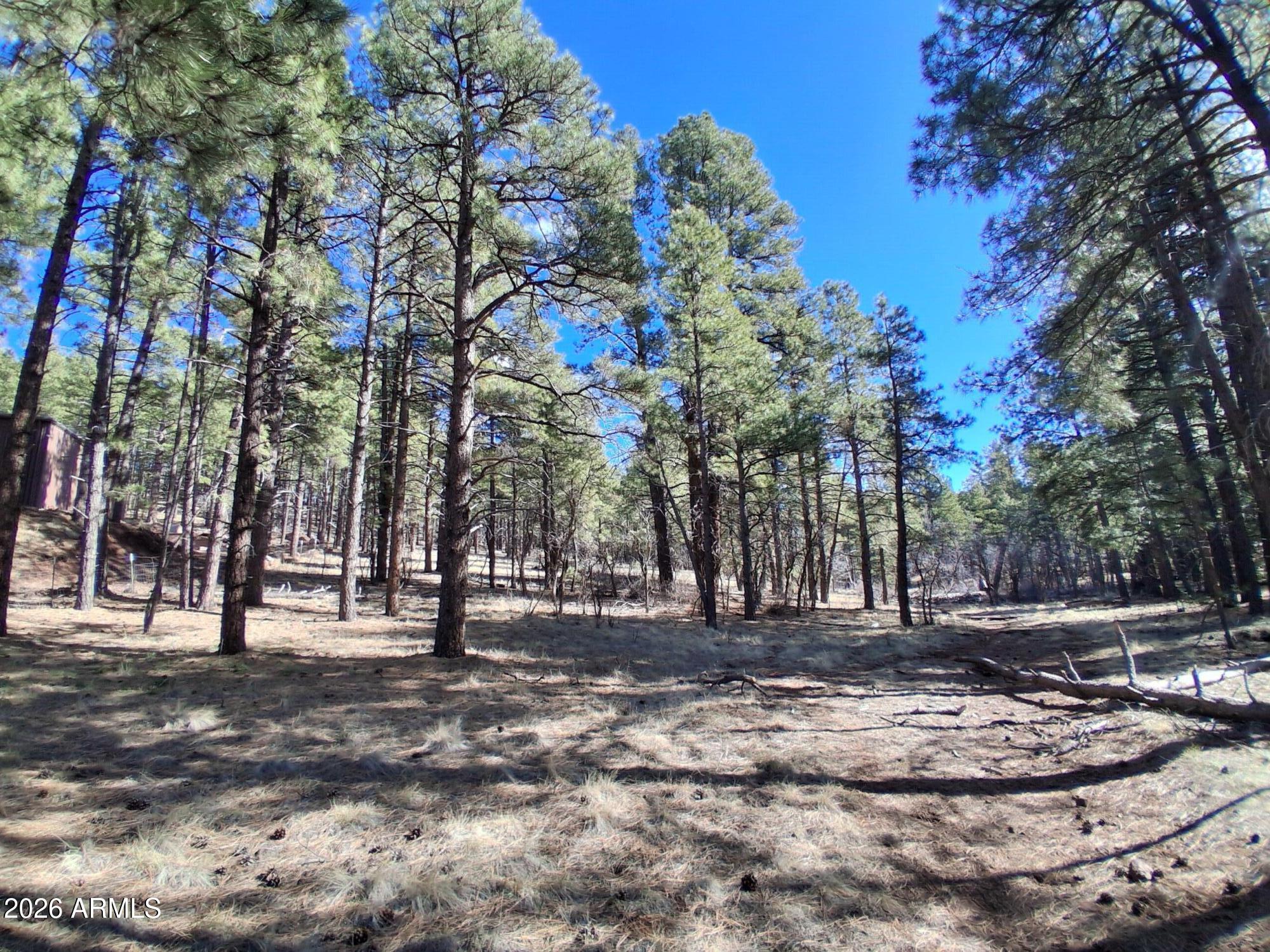 13696 E KINGS DEER Road -, Parks, AZ 86018 — Photo 1 of 33