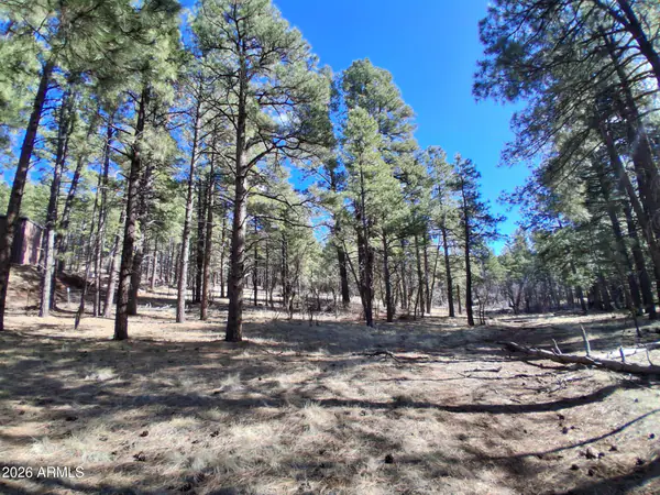 Land at 13696 E KINGS DEER Road -, Parks