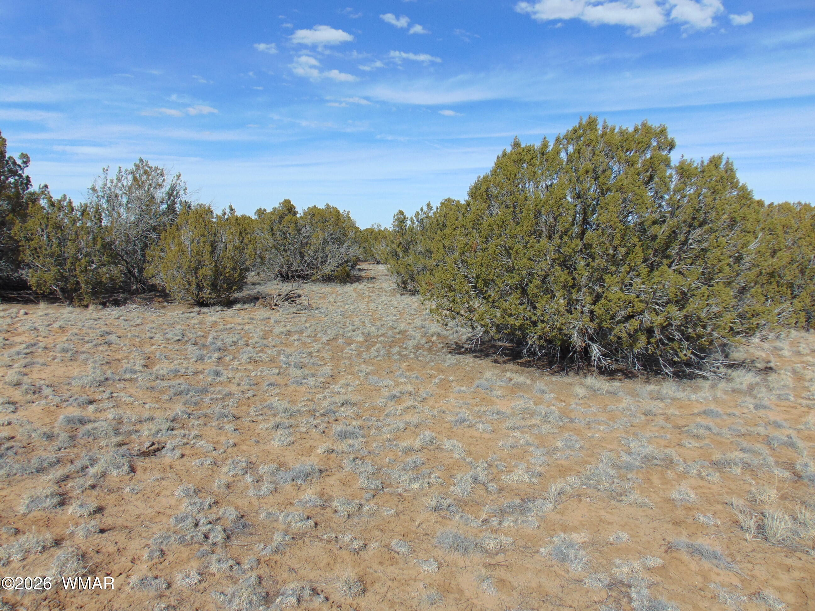 51 & 49 County Road 8243 Road, # 8243, Vernon, AZ 85940