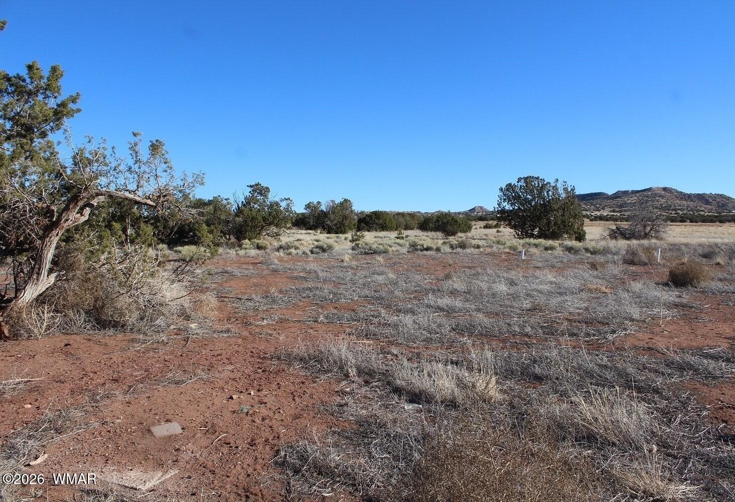 TBD N 6422 #136 136, St. Johns, AZ 85936 — Photo 1 of 17