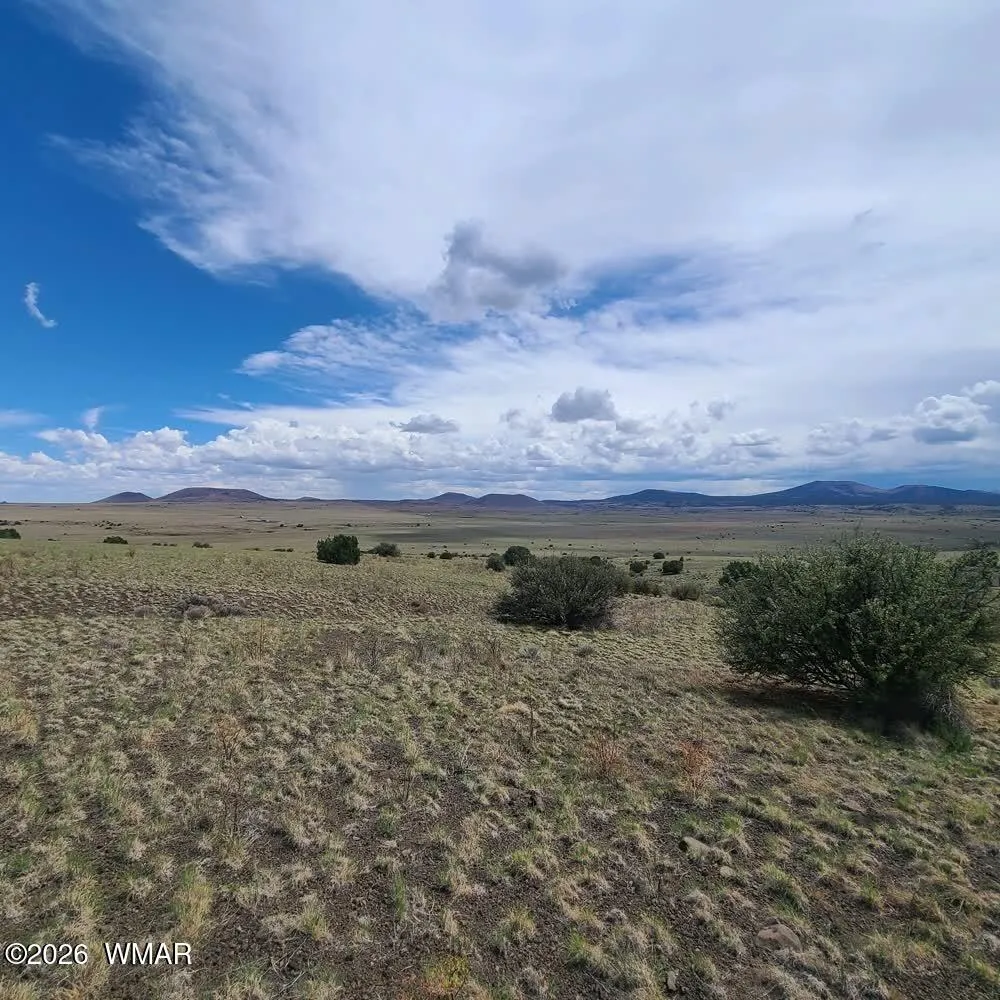 3 County Road N3365, Vernon, AZ 85940 — Photo 1 of 45