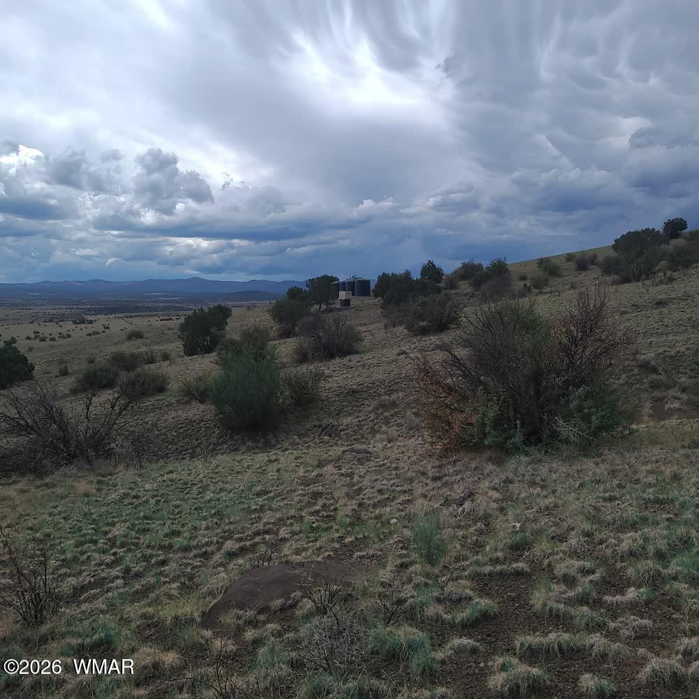 3 County Road N3365, Vernon, AZ 85940