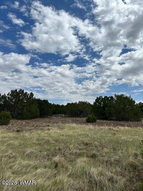 TBD CR N3109 & N3102, Vernon, AZ 85940