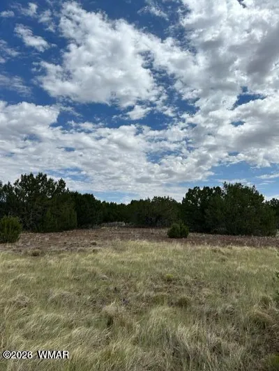 TBD CR N3109 & N3102, Vernon, AZ 85940