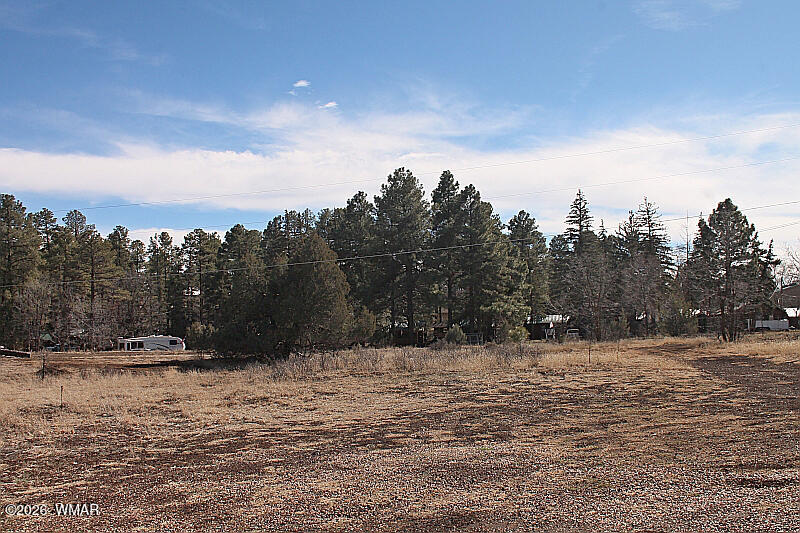 21230027B W White Mountain Blvd, Lakeside, AZ 85929