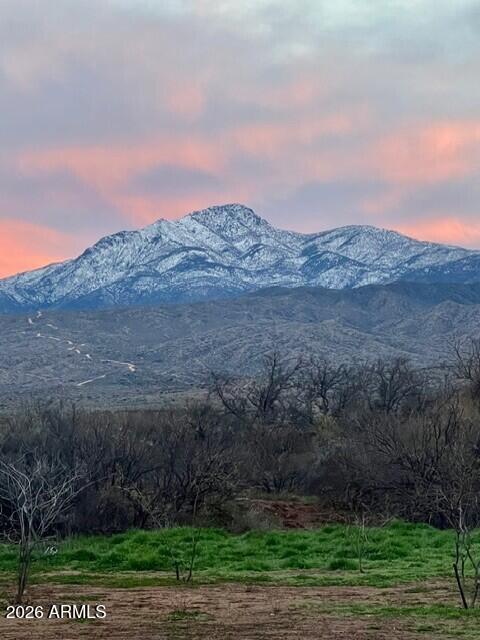299 S WADE SCHANDLEY Drive -, Tonto Basin, AZ 85553 — Photo 1 of 19