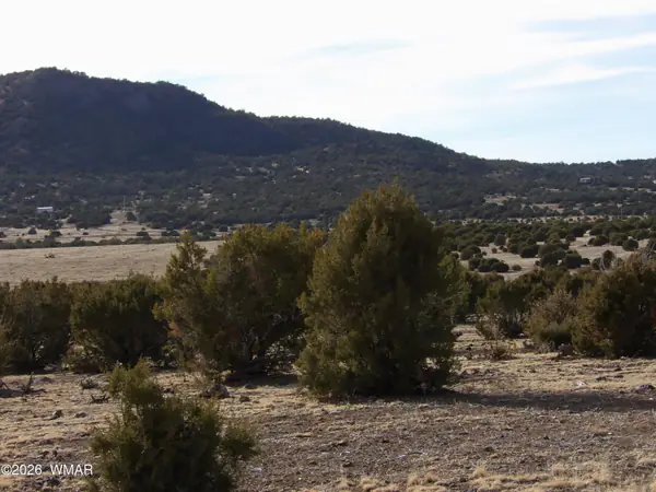 Lot 14D N3411, Vernon, AZ 85940