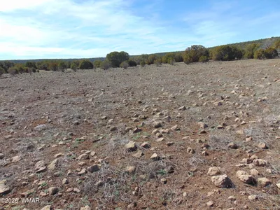 Thumbnail 28