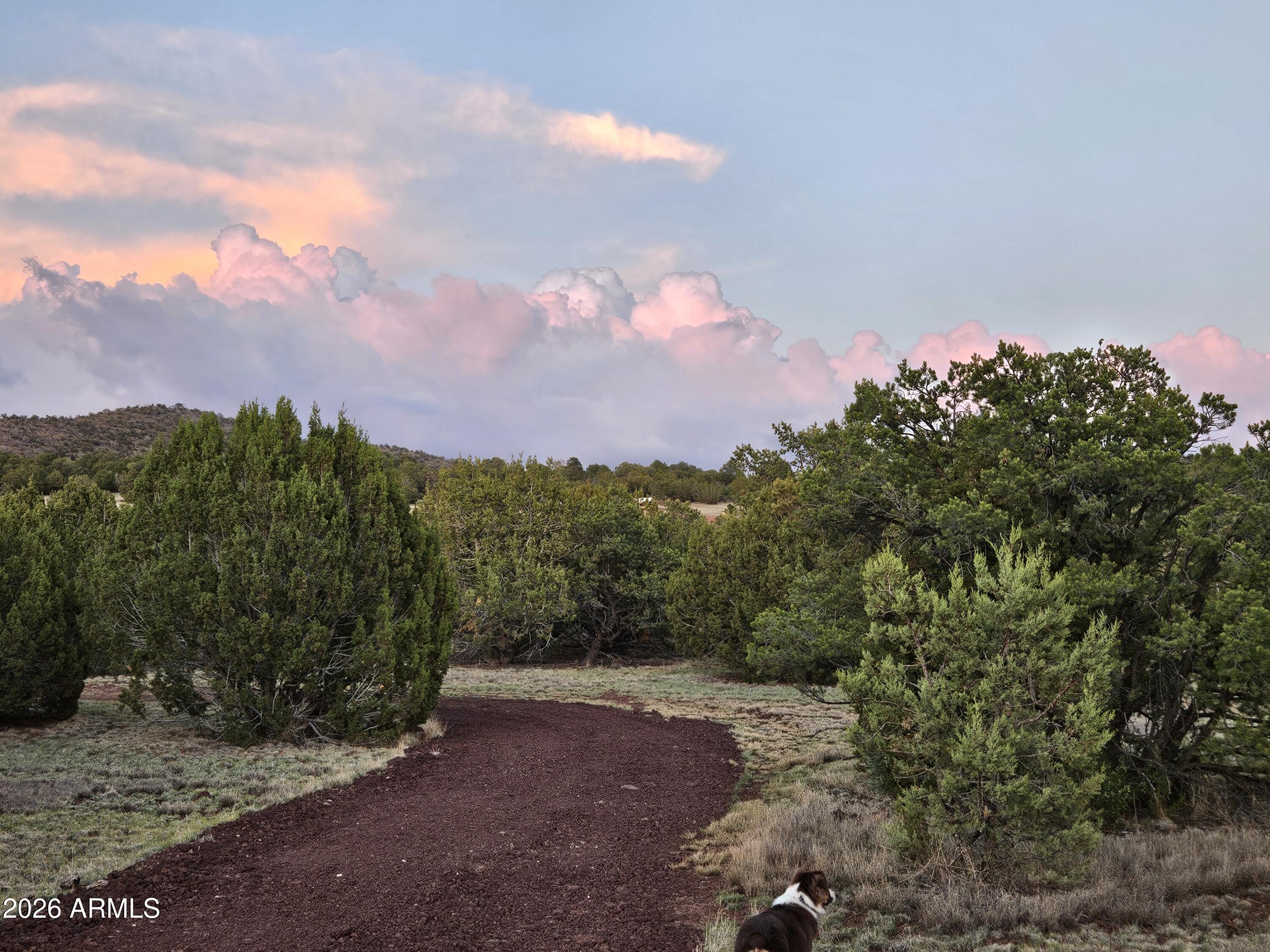 1760 W HONEYSUCKLE Road 5, Williams, AZ 86046 — Photo 1 of 20