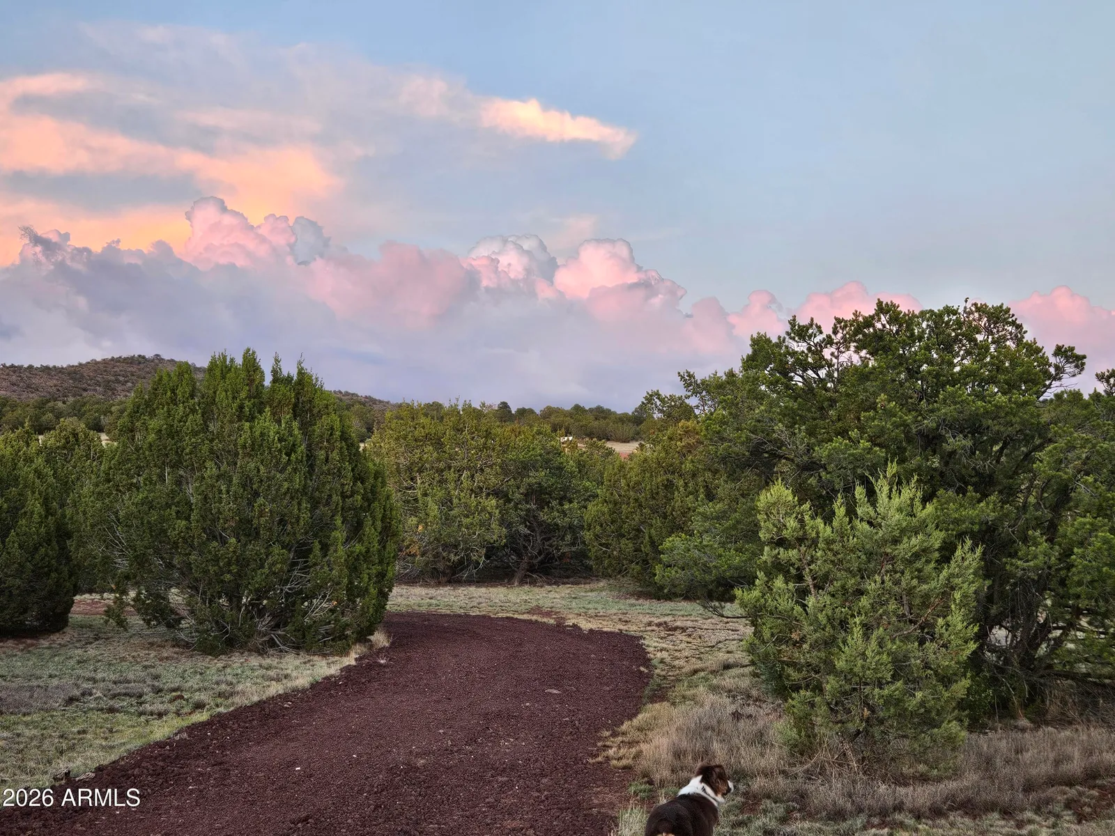 1760 W HONEYSUCKLE Road 5, Williams, AZ 86046 — Photo 1 of 20