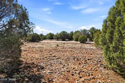 8396 Bear Meadow Drive, Show Low, AZ 85901
