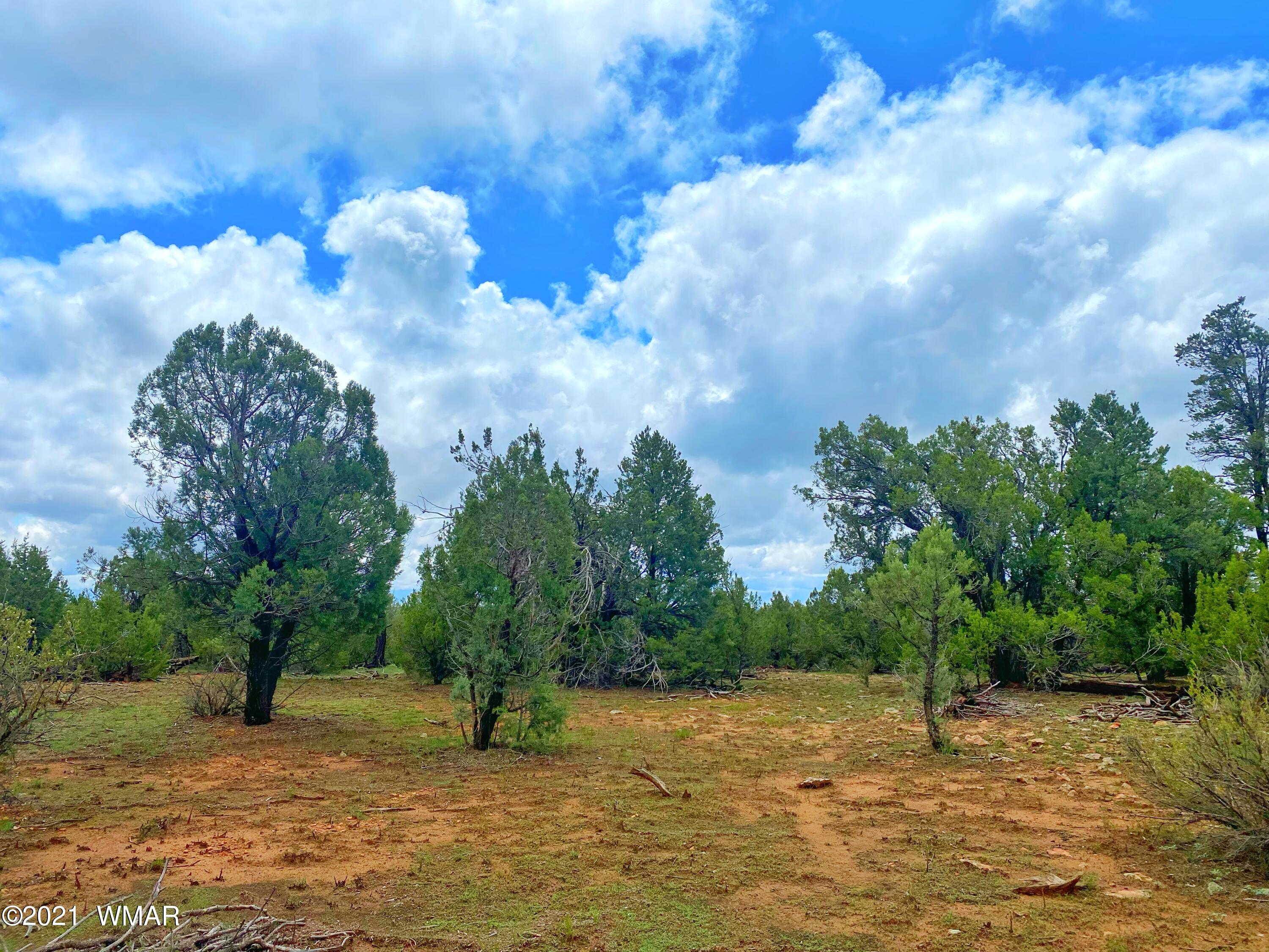 TBD Bear Heights, Heber, AZ 85928