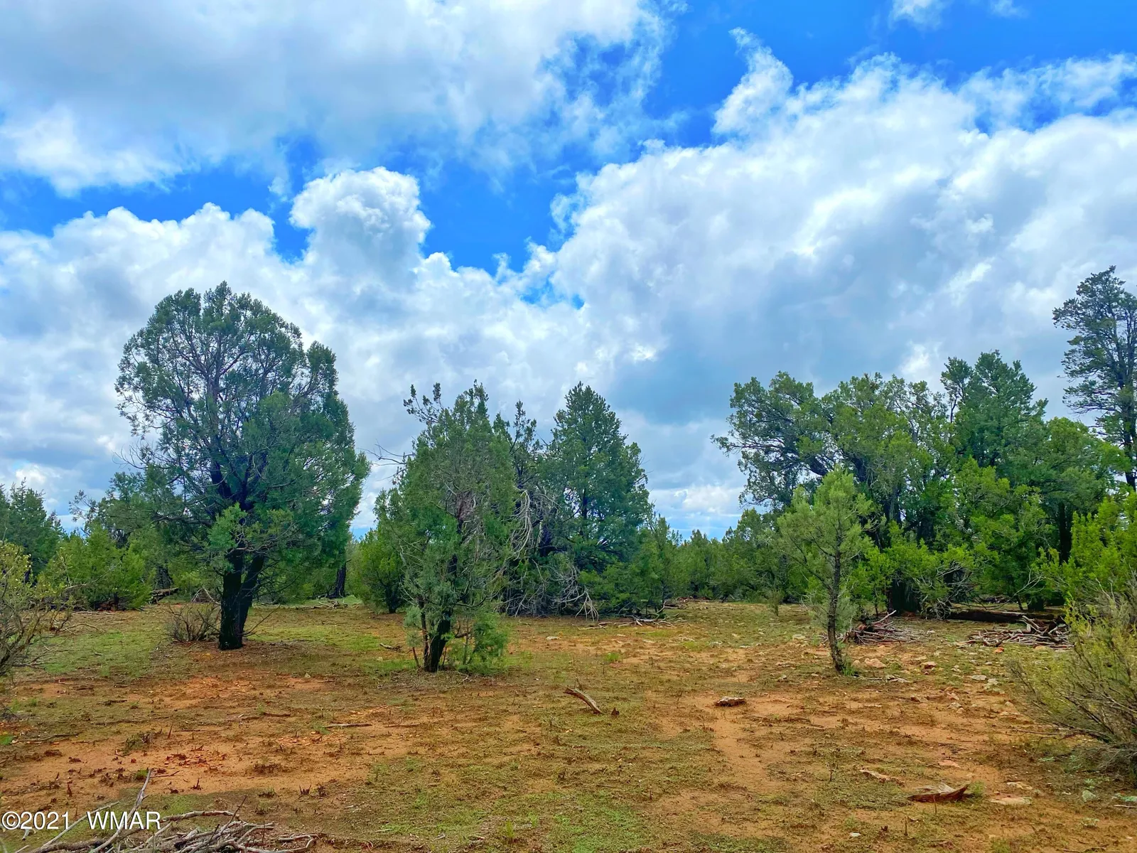 TBD Bear Heights, Heber, AZ 85928 — Photo 1 of 4