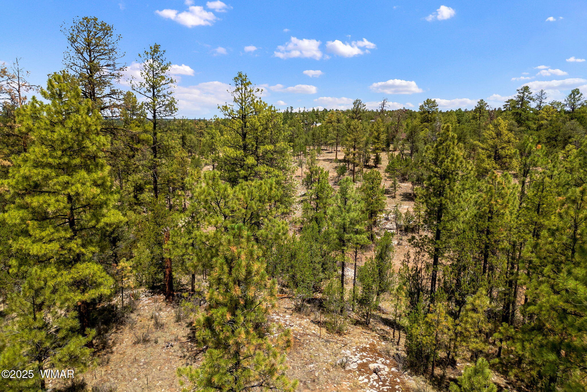 2975 Canary Lane, Heber, AZ 85928