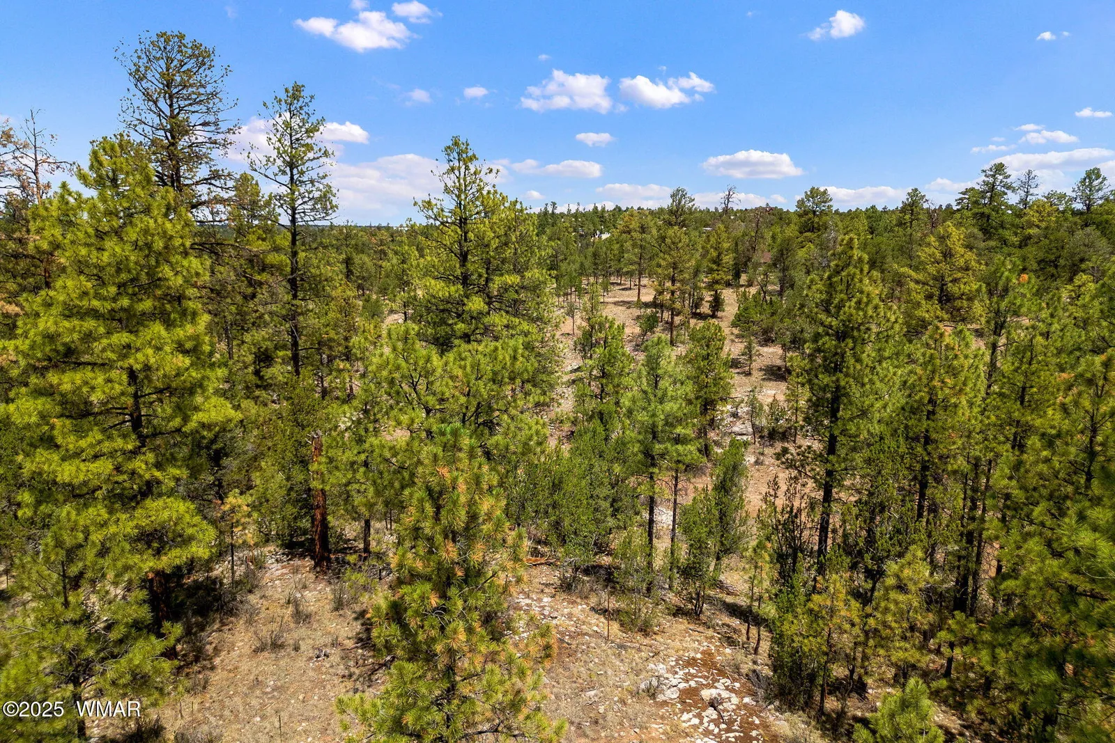 2975 Canary Lane, Heber, AZ 85928 — Photo 1 of 12