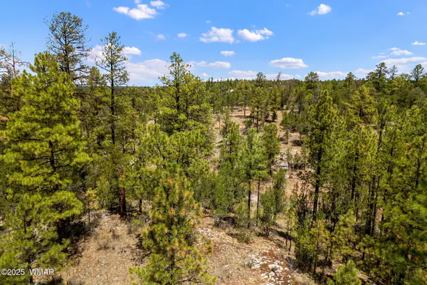 2975 Canary Lane, Heber, AZ 85928
