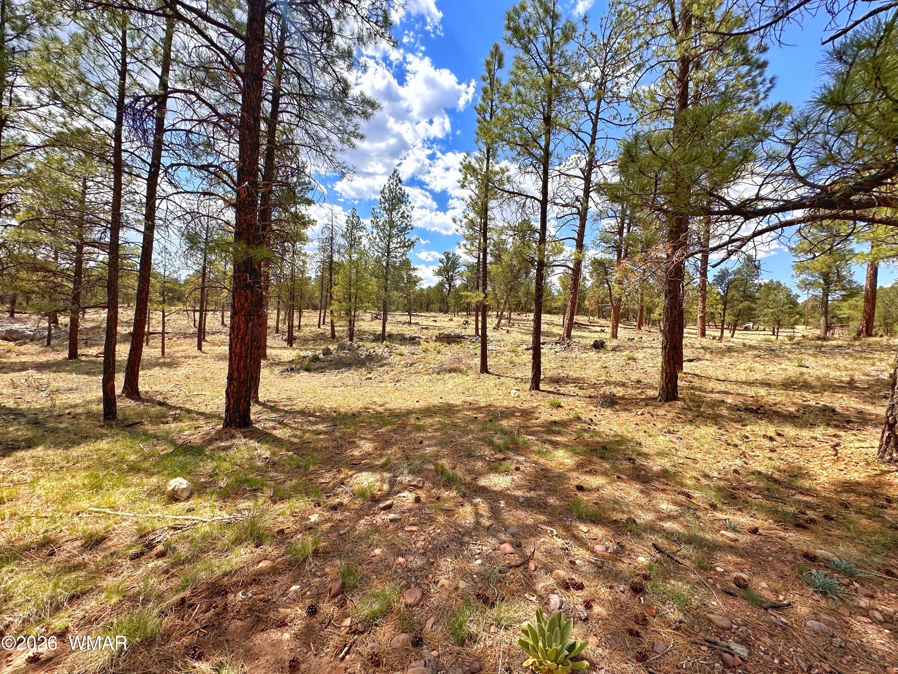 PAR 007H Chevelon Rd, Heber, AZ 85928