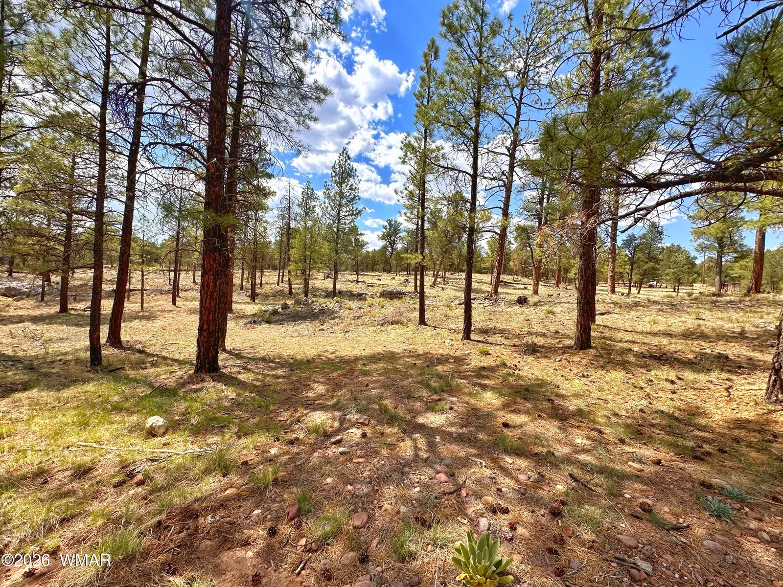 PAR 007H Chevelon Rd, Heber, AZ 85928 — Photo 1 of 12