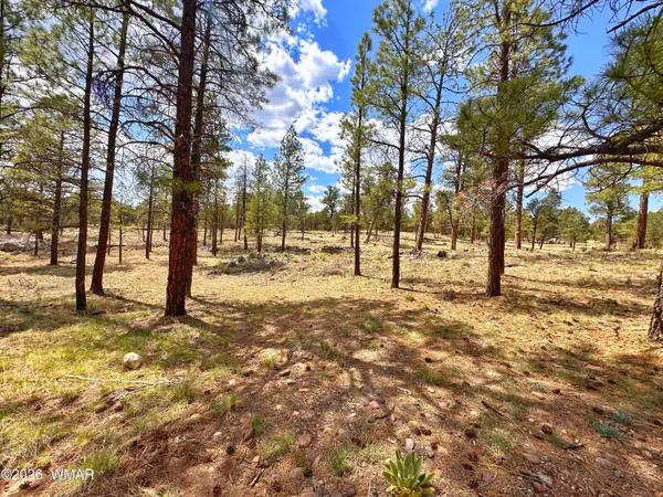 PAR 007H Chevelon Rd, Heber, AZ 85928
