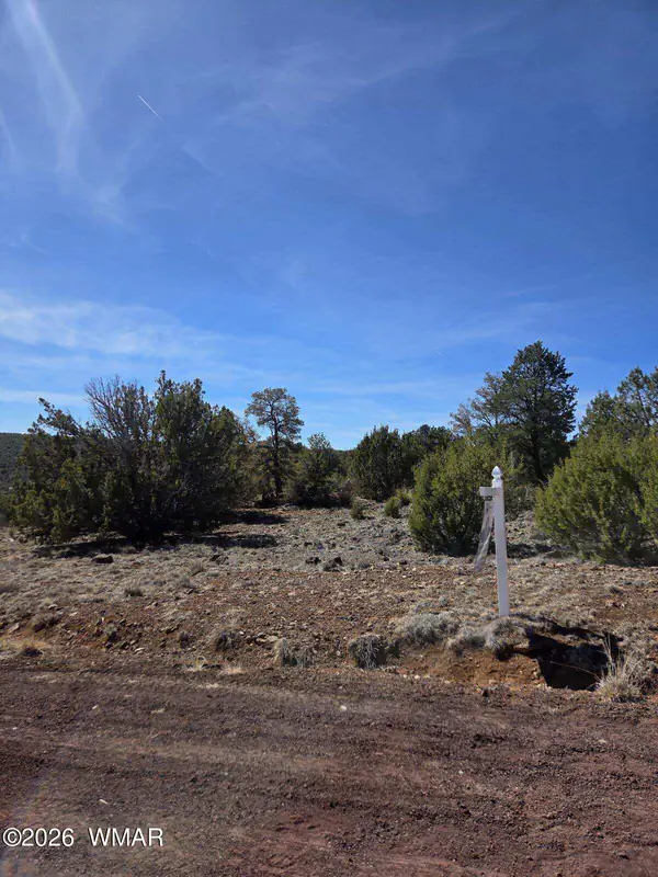 6 Co Road, # 8125, Vernon, AZ 85940