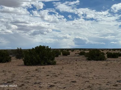 N6503 Elk Valley Ranch lot 21, St. Johns, AZ 85936