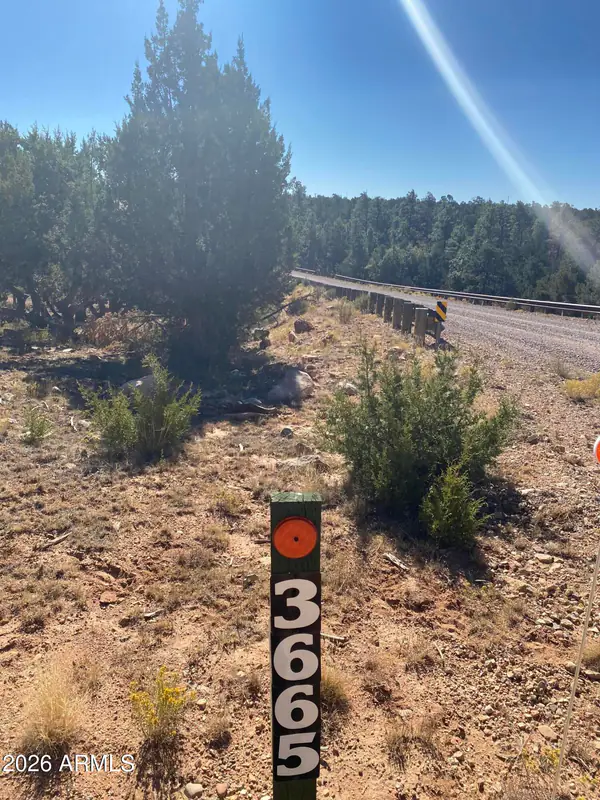 3665 PINEHURST Drive 170, Happy Jack, AZ 86024