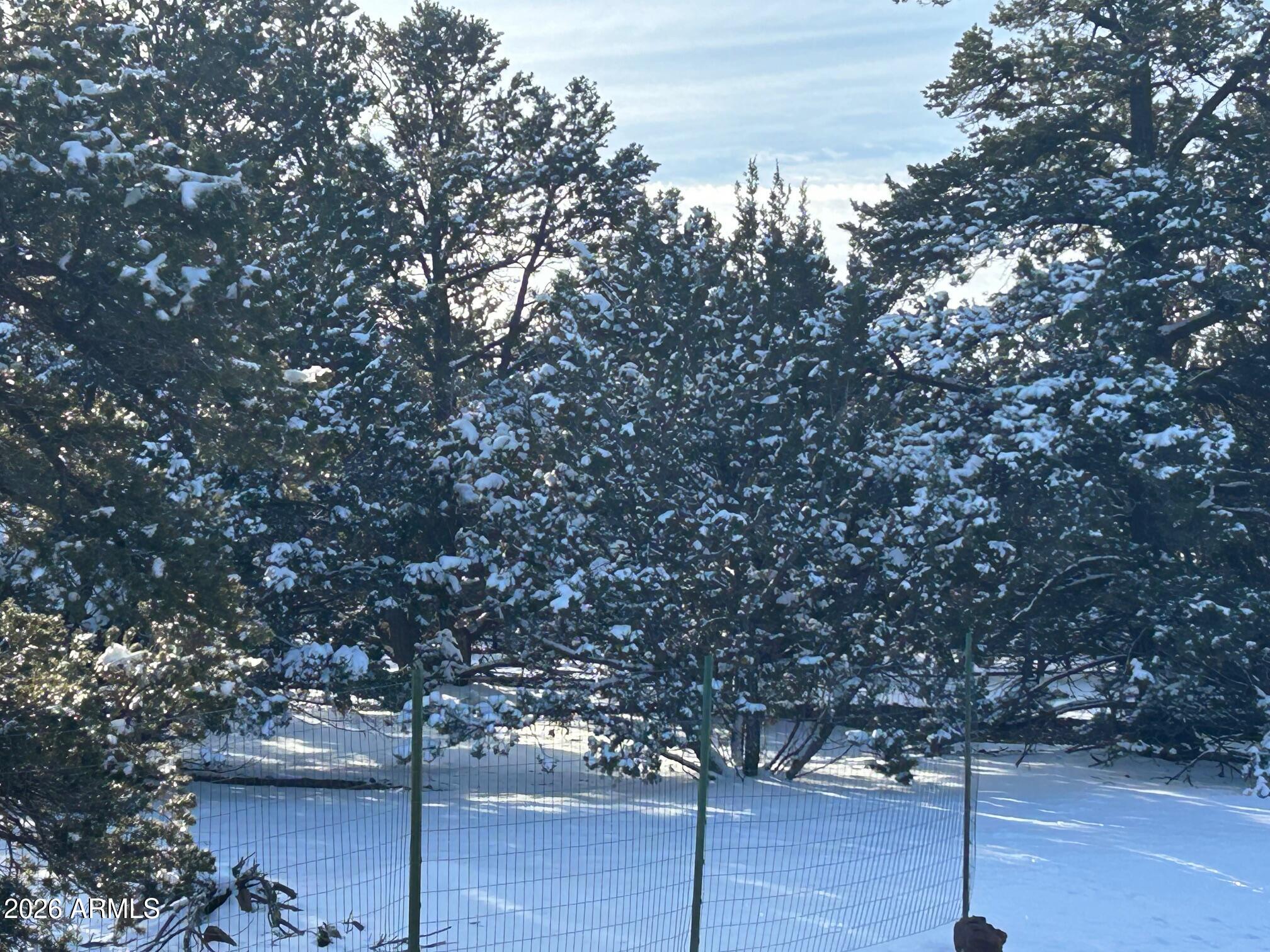 Lot 86 Ricks Road, Vernon, AZ 85940 — Photo 1 of 28