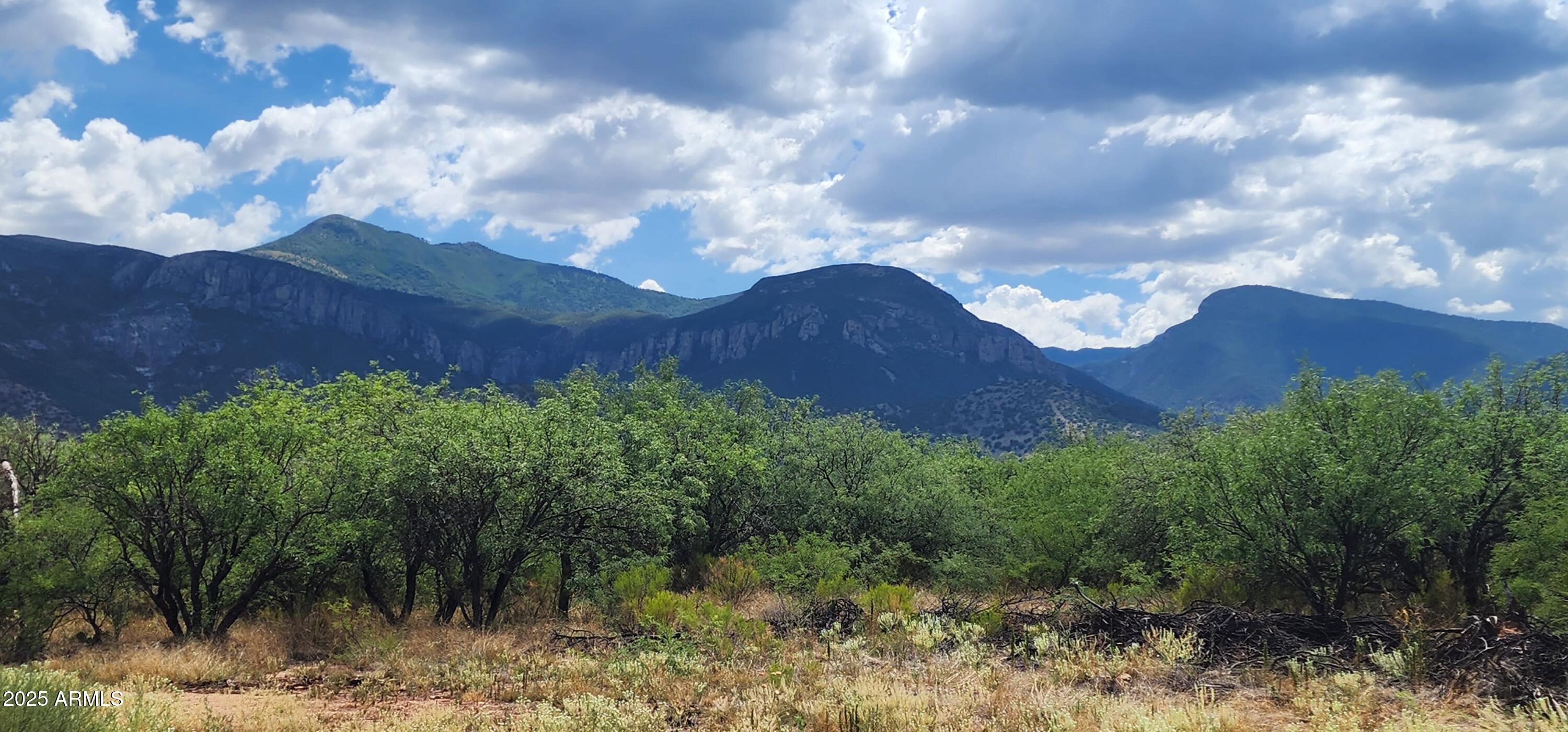 TBD E Ramsey Canyon Rd Lot D D, Hereford, AZ 85615 — Photo 1 of 10